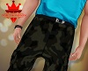 C. Police SAR Pants