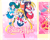 ❥ Poster Sailor Moon