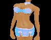 CA Blue China Translucen
