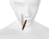 SIGAR 🚬