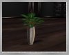 Larchwood Plant