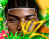 xOz Nipsey Braids '25