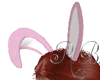 Bunny Pink Cream animate