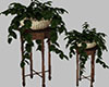 Planter & Stand