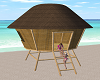 Beach Hut