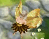 [A94] Golden Fairy Shoes