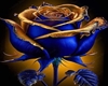 Blue Rose Club
