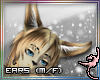 (IR)XqziT Furry: Ears