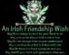 Irish Frienship Wish