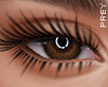 Feather Lashes -Zell