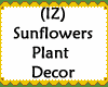 Sunflowers Plant Decor