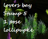 Lovers bay stump @ 1pose
