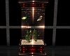 BILLIONAIRE FISHTANK