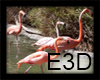 E3D-Pink Flamingos