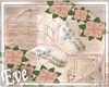 ♣ Field DreamCatcher