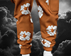 DNM TRS Coral Pants