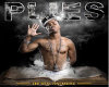 Plies The Real Testament