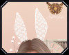 [ang]Pretty Bunny Ears