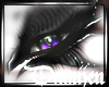 Dark Dreamer Purple Eyes