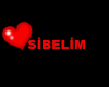 SS-SibeLiM Effects