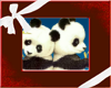 Twin Pandas