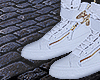 Giuseppe Zanotti Eagle W