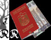 Red UAE Passport + Cash
