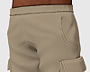 PA Beige Cargo