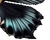 black wings