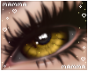 𝓶. ember ⚥