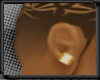 [BE] gold earrings