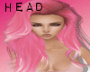 Ky. Stasi Head