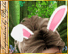 I~Cute Ani Bunny Ears