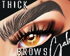 thick -Brows- Gray