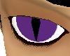 Purple Cat Eyes