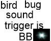 bird + bug sound