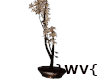 }WV{ Dark Tree *Desire*