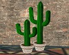 Saguaros Cactus