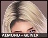 ~N~ Geiver Almond