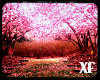 |XF| Sakura View