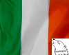 (ww)IrelandFlagHoodyF