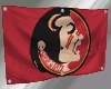 [TB] Seminoles Flag