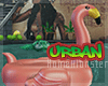 Urban Flamingo Float
