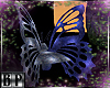 |BP| Butterfly Chair