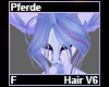 Pferde Hair F V6