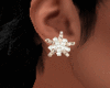 Pearl Earrigs
