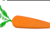 Giant carrot