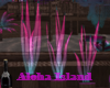 Aloha Triple Plant
