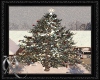 Outdoor Christmas Tree