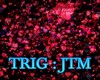 LIGHT LOVE  TRIG : JTM